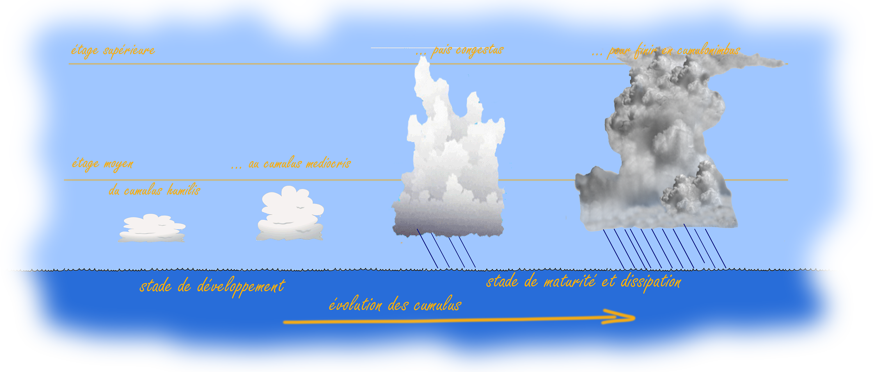 cumulus grains en mer